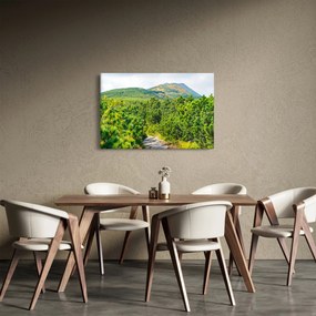 Obraz - Babi Hora, Poľsko (90x60 cm)