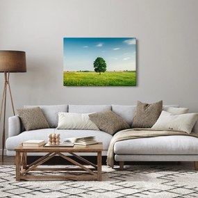 Obraz stromu uprostred lúky (90x60 cm)