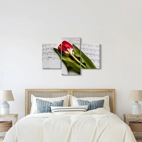Obraz červeného tulipánu (90x60 cm)