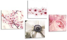 Set obrazov jemnosť kvetov - 4x 40x40