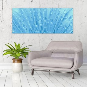 Obraz - Makro záber kvetu (120x50 cm)