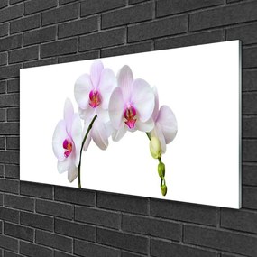 Skleneny obraz Vstavač orchidea kvety 120x60 cm