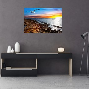Obraz - Čajka letiaca nad pobrežím (90x60 cm)