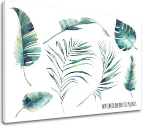 Obraz na stenu s textom Watercolor exotic plants