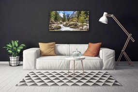 Obraz Canvas Hora les kamene rieka 125x50 cm