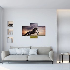 Obraz - Kone (90x60 cm)