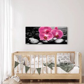 Obraz - Ružové orchidey (120x50 cm)