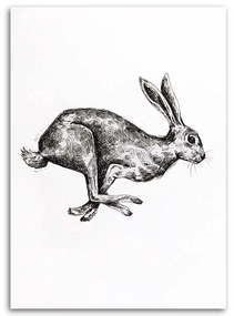 Gario Obraz na plátne Zajac na úteku - Jan Perit Kablan Rozmery: 40 x 60 cm