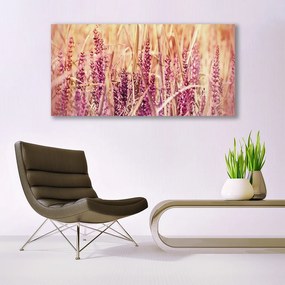 Obraz plexi Pšenica rastlina príroda 120x60 cm