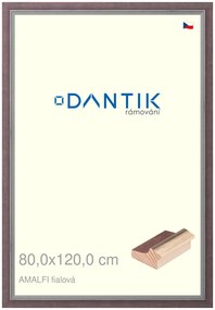 DANTIK rám na obraz 80x120 | AMALFI fialová (Plexi Čiré)