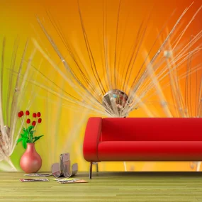 Sablio Tapeta Odkvitnuté púpavy 2 - 125x75 cm