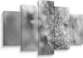 Obraz - Boho pampas grass (150x105 cm)