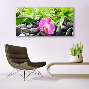 Obraz plexi Kvety orchidea kamene zen 120x60 cm