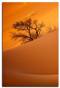 Obraz na plátne - Červené piesočné duny - obdĺžnik 7133A (90x60 cm  )