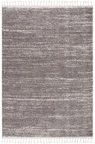 Dekorstudio Shaggy koberec s dlhým vlasom PULPY 524 sivý Rozmer koberca: 100x300cm