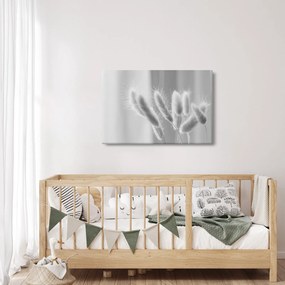 Obraz - Bunny tail grass (90x60 cm)