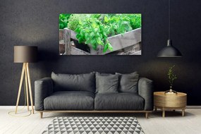 Obraz na akrylátovom skle Listy príroda rastlina 120x60 cm