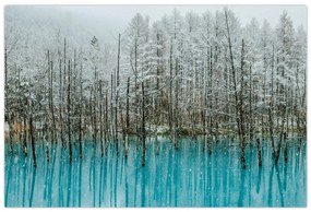 Obraz - Tyrkysový rybník, Biei, Japonsko (90x60 cm)