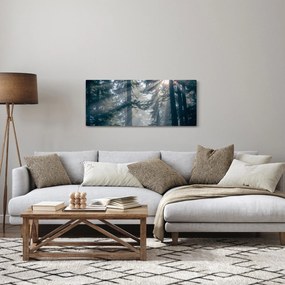 Obraz stromov s presvitajúcim slnkom (120x50 cm)