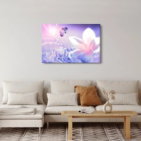 Obraz - Motýľ prilietajúci na kvet (90x60 cm)