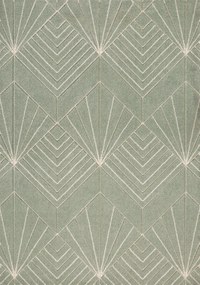 Oriental Weavers, Kusový koberec Portland 58/RT4G, 67x120, zelená, chodba / predsieň