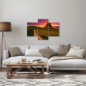 Obraz poľa a farebného neba (90x60 cm)