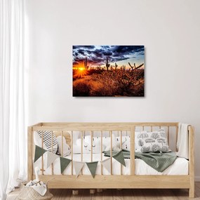 Sklenený obraz - Zlatá hodinka púšte (70x50 cm)