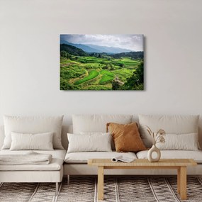 Obraz ryžových polí (90x60 cm)