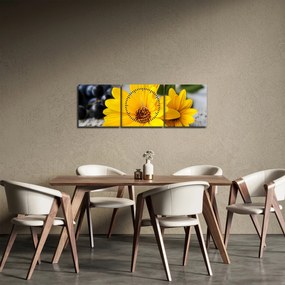 Obraz žltých kvetov (s hodinami) (90x30 cm)