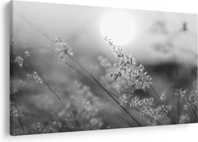 Obraz - Jesenná lúka (90x60 cm)
