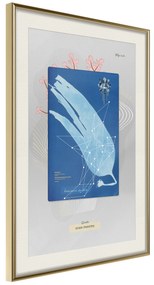 Artgeist Plagát - Alga [Poster] Veľkosť: 20x30, Verzia: Zlatý rám s passe-partout