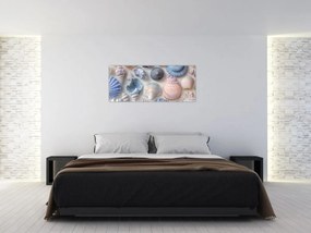 Obraz - Zbierka mušlí (120x50 cm)