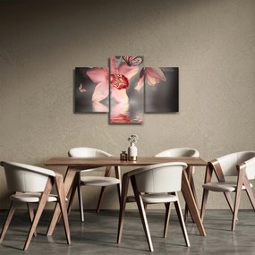 Obraz - Kvety a motýľ (90x60 cm)