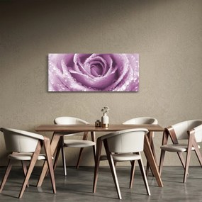 Obraz detailu kvetu ruže (120x50 cm)