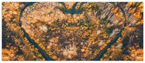 Obraz - Rieka v tvare srdca (120x50 cm)