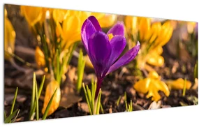 Obraz fialovej kvetiny (120x50 cm)