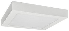 LED Stropné svietidlo FENIX LED/24W/230V 3800K 29,8 cm