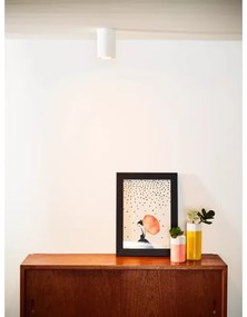 Lucide 35100/11/31 - Stropné svietidlo GIPSY 1xGU10/35W/230V