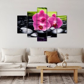 Obraz - Ružové orchidey s palmovým listom (150x105 cm)