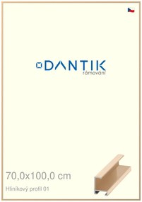 DANTIK rám na obraz 70x100 | ALU Zlatá lesklá (Plexi Čiré)