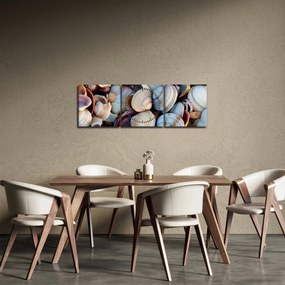 Obraz mušlí (s hodinami) (90x30 cm)