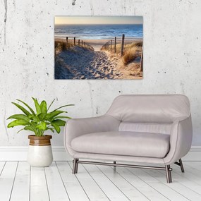 Sklenený obraz - Cesta k pláži Severného mora, Holandsko (70x50 cm)