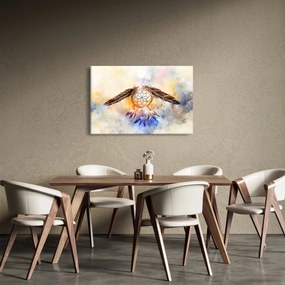 Obraz - Lapač snov s pierkami (90x60 cm)
