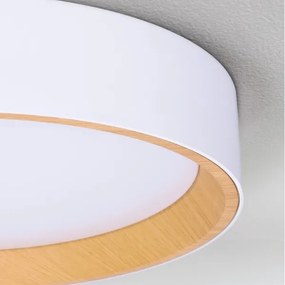 Brilagi - stmievateľné LED stropné svietidlo LARIOS LED/72W/230V biela pr. 59 cm + diaľkové ovládanie