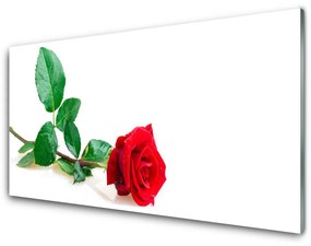 Obraz plexi Ruže kvet rastlina 120x60 cm