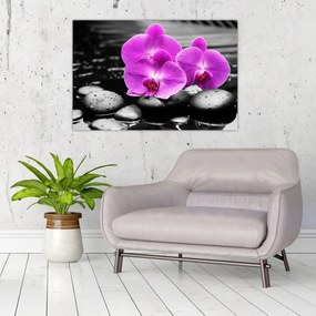 Obraz - Fialové orchidey (90x60 cm)