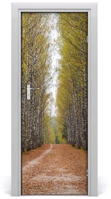 Fototapeta na dvere samolepiace Břízová les 85x205 cm