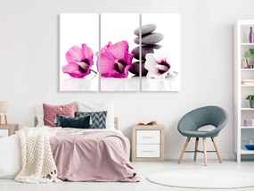 Artgeist Obraz - Calm Mallow (3 Parts) Pink Veľkosť: 60x40, Verzia: Premium Print