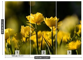 Fototapeta Vliesová Žltý tulipán 208x146 cm