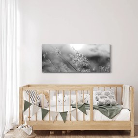 Obraz - Jesenná lúka (120x50 cm)